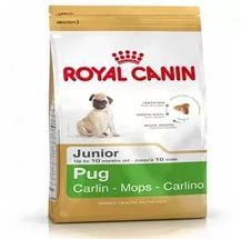 Royal Canin Pug Junior для щенков породы мопс