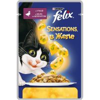 Феликс ( Felix) с уткой в желе со шпинатом